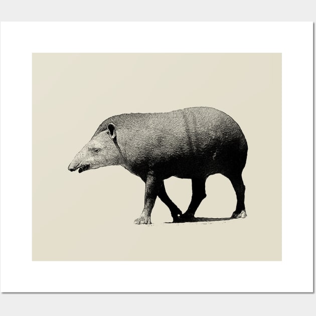 Tapir Wall Art by Guardi